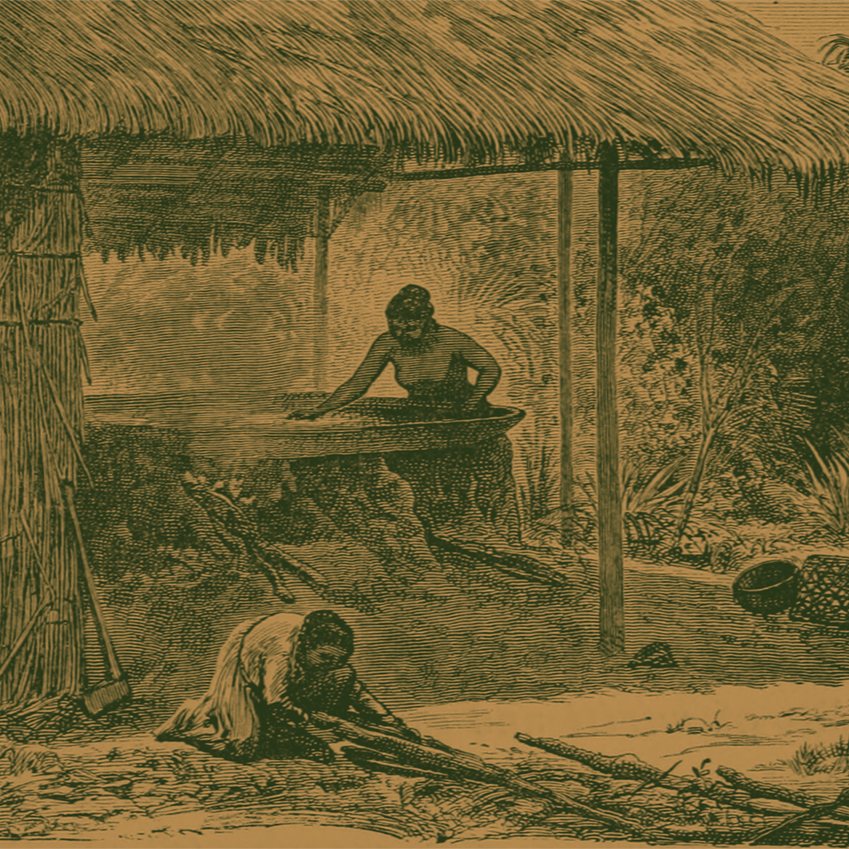Mandioca e poder colonial: um diálogo entre história e antropologia