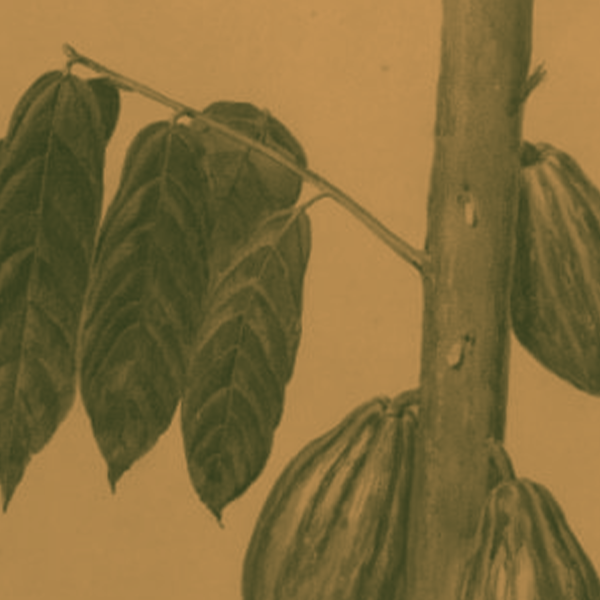 Encontro mensal de junho de 2025