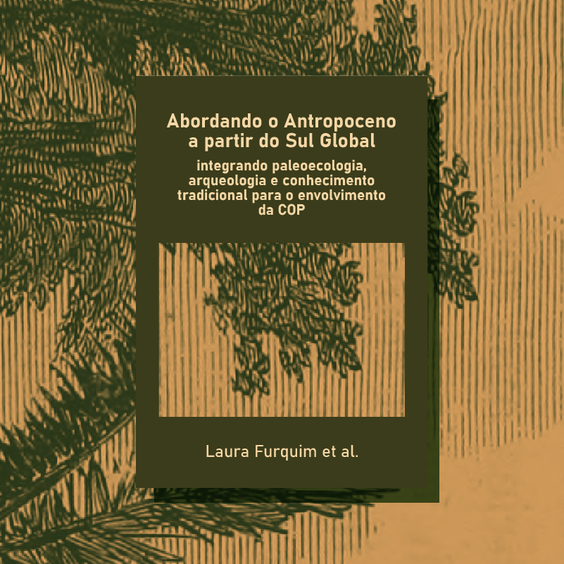 Abordando o Antropoceno a partir do Sul Global