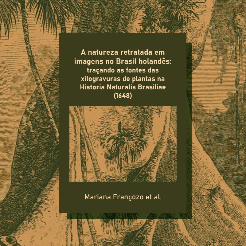 A natureza retratada em imagens no Brasil holandês